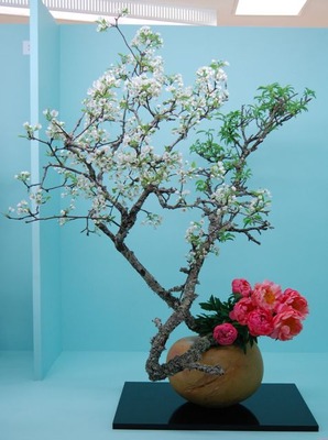 20120427b
