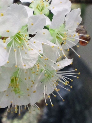20120410b
