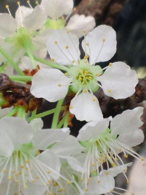 20120410a