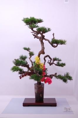20120425c