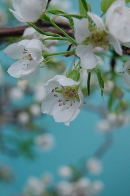 20120427c