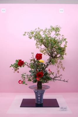 20120425a