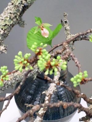 20120407c