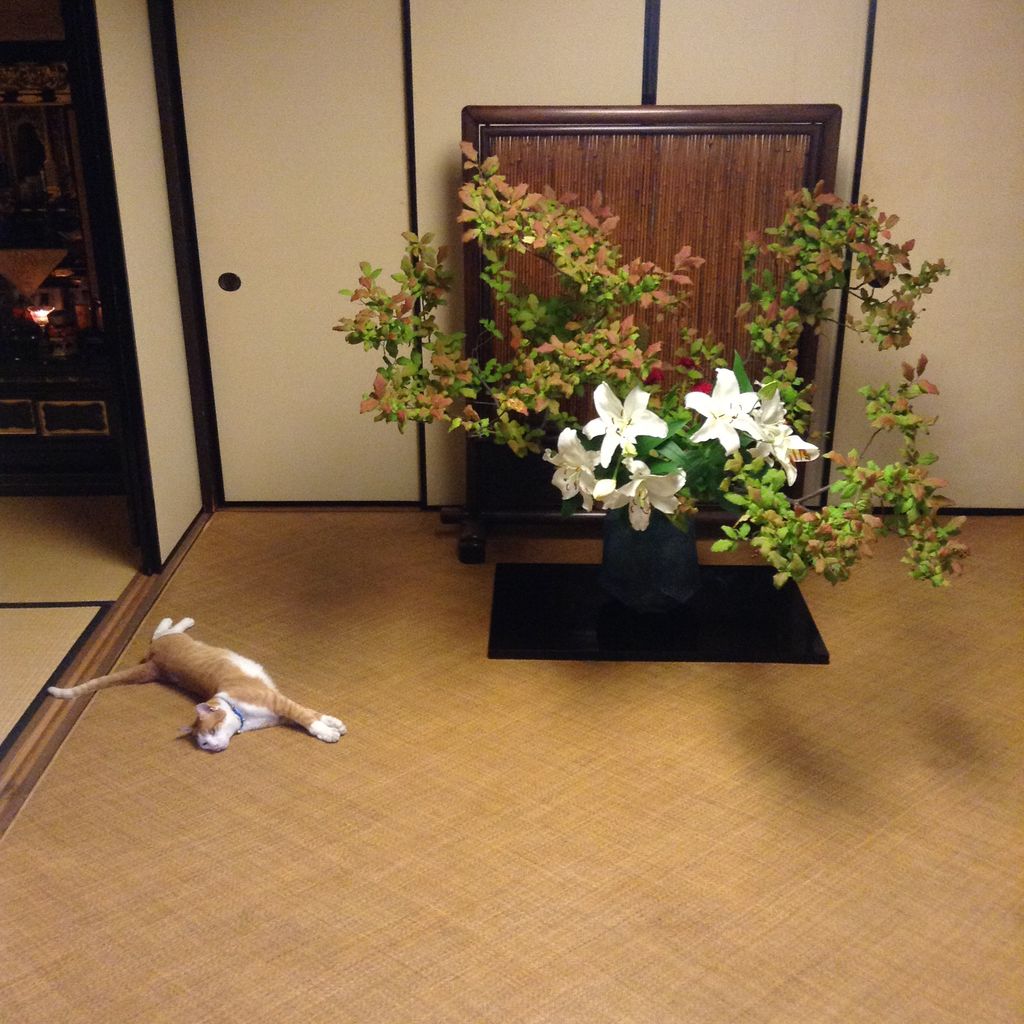 ナツハゼ ゴンチャン花日記 いけばなブログ