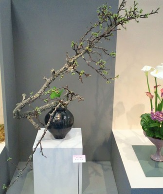20120407b
