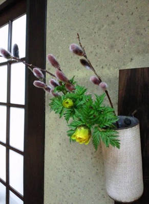 fukujusou