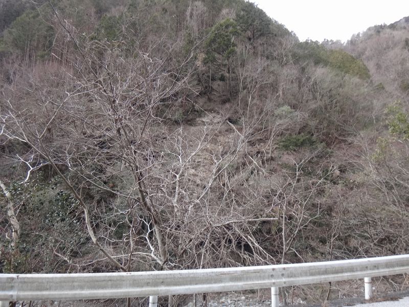 イメージ 8