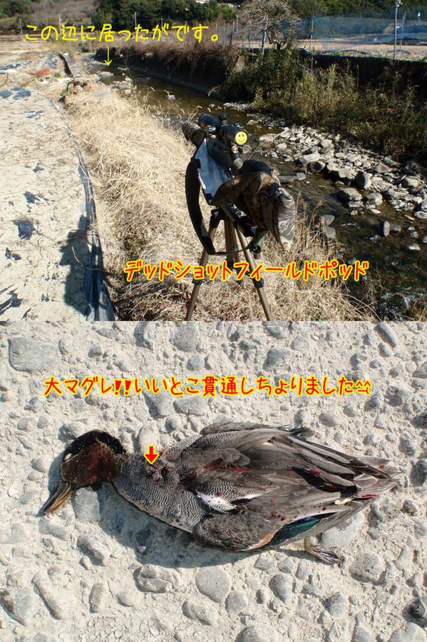 イメージ 2