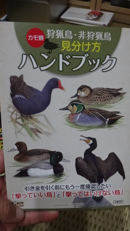 イメージ 6
