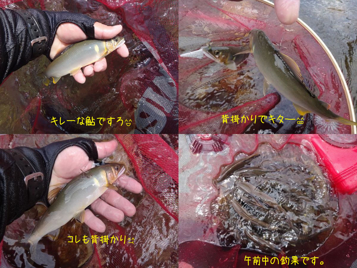 イメージ 4