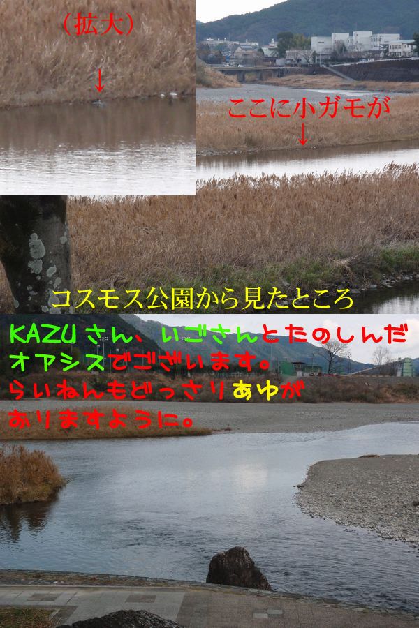 イメージ 1