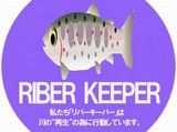 イメージ 14
