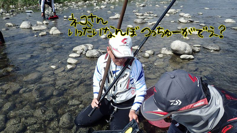 イメージ 10
