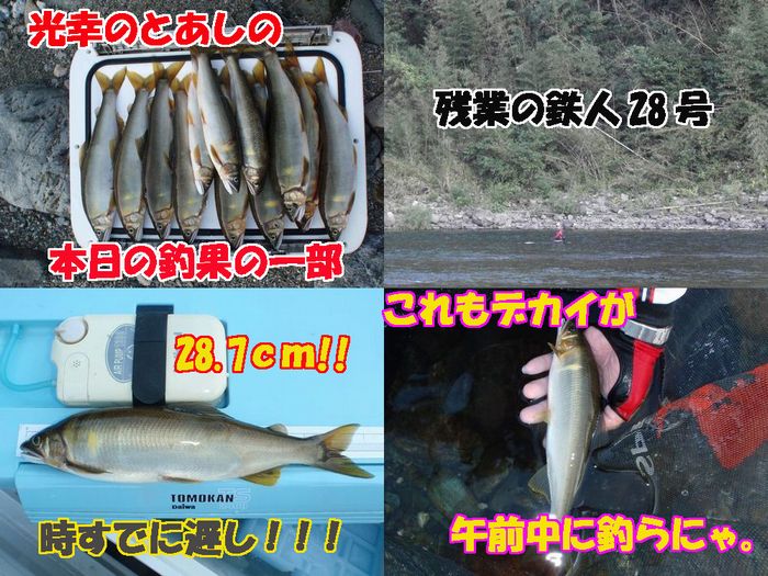 イメージ 8