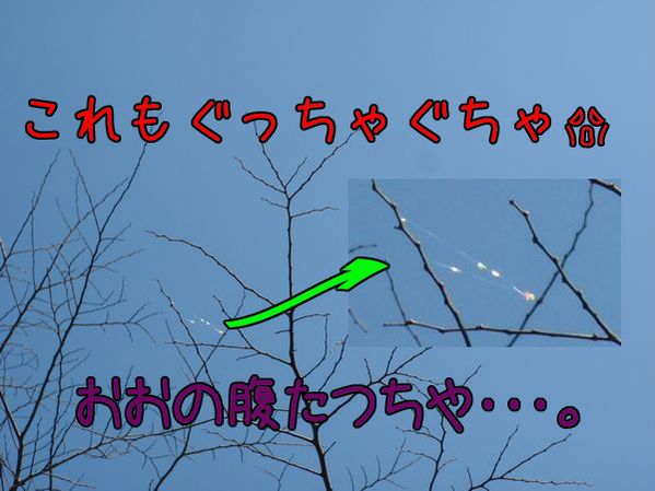 イメージ 3