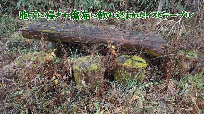 イメージ 6