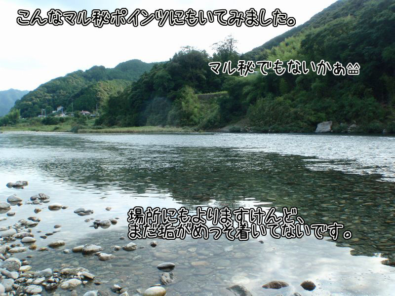イメージ 2