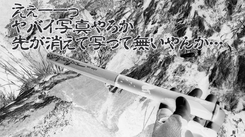 イメージ 16