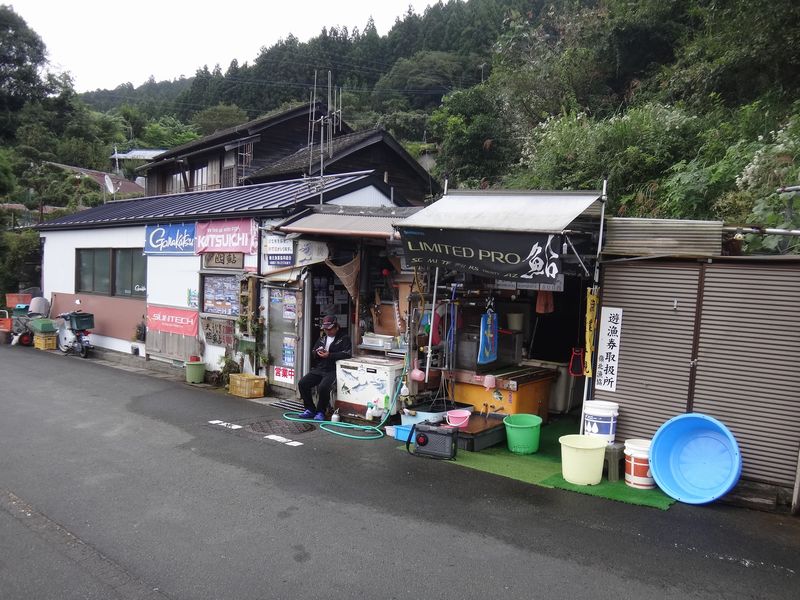 イメージ 6