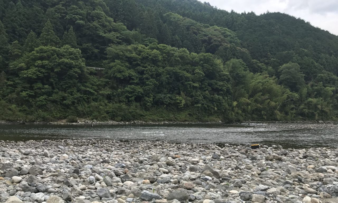イメージ 30