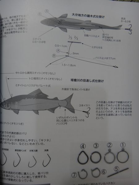 イメージ 8