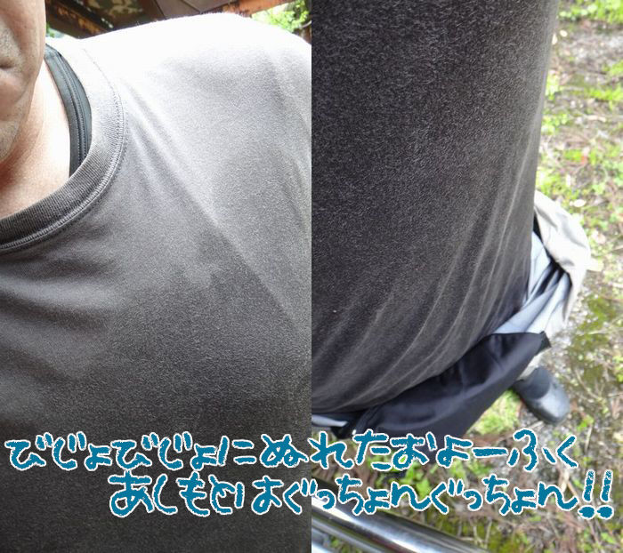 イメージ 11