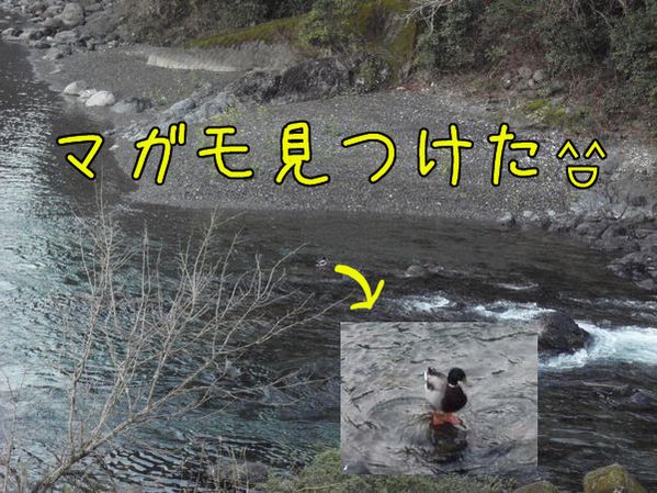 イメージ 1