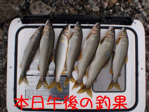 イメージ 4