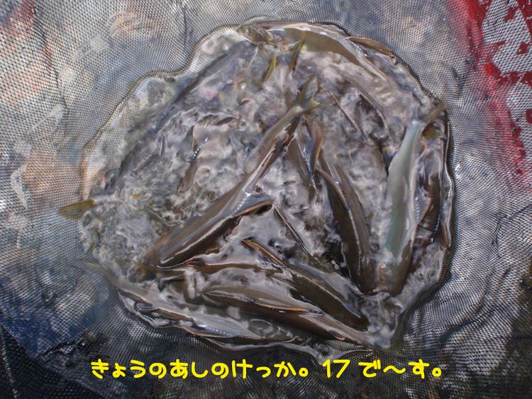 イメージ 4