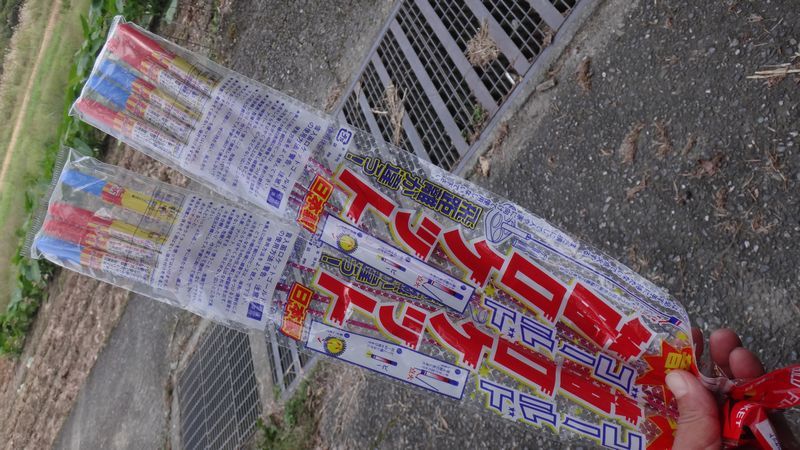 イメージ 5