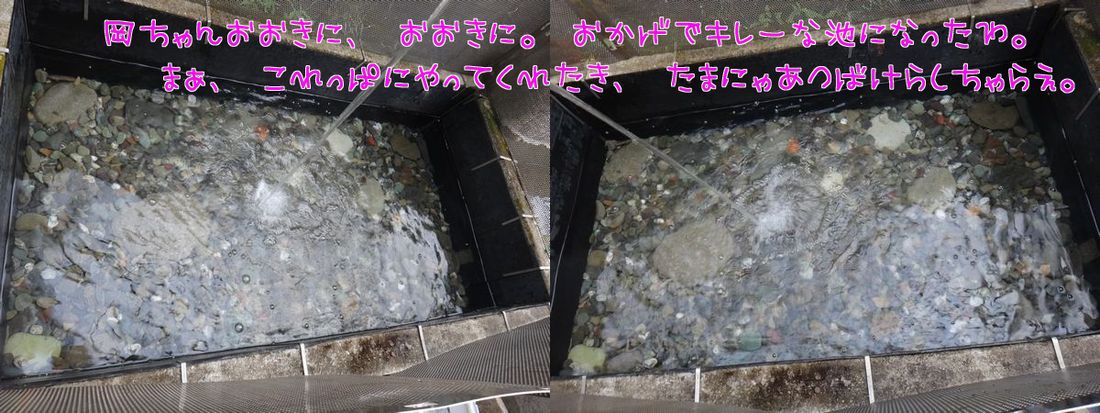 イメージ 6
