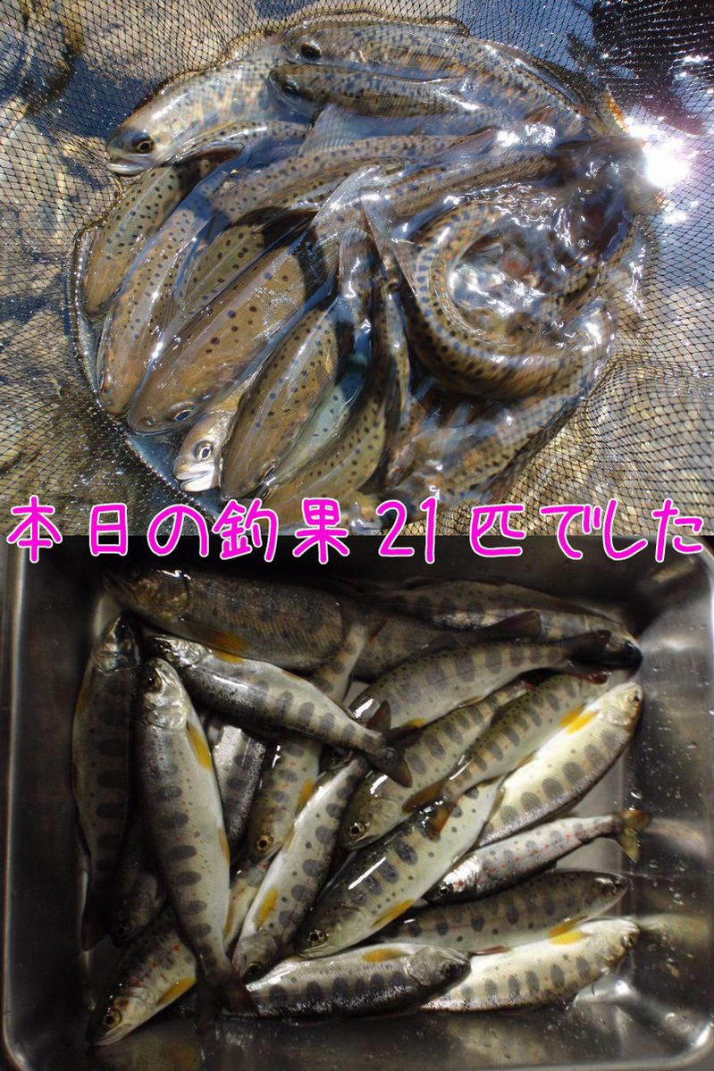 イメージ 5