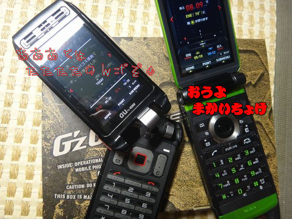 イメージ 5