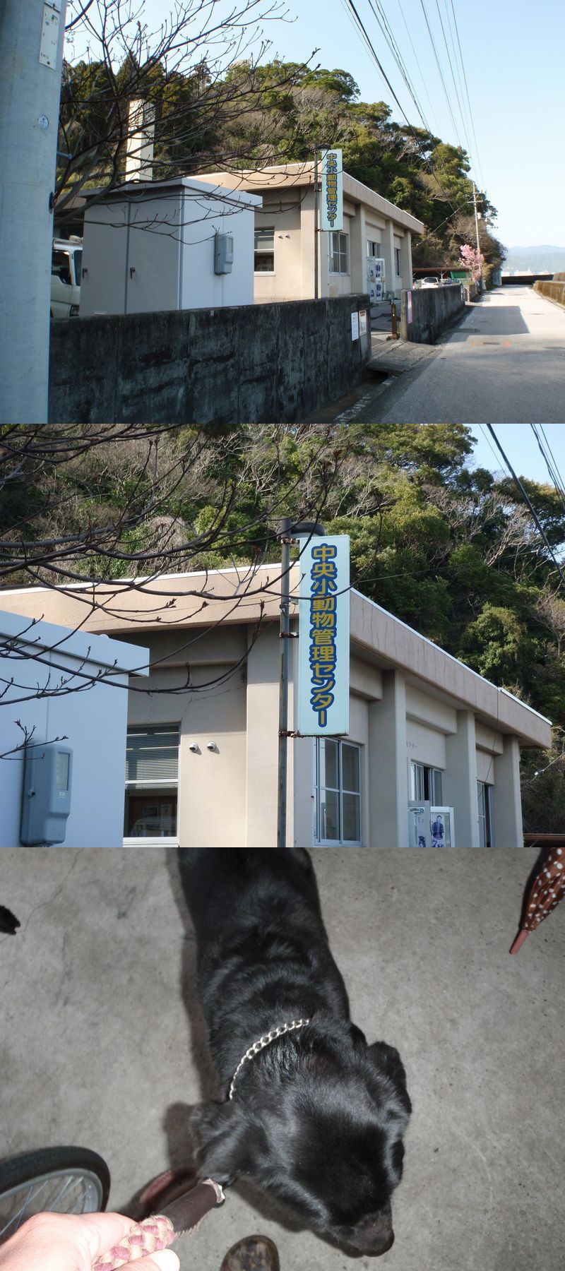 イメージ 1