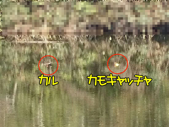 イメージ 2