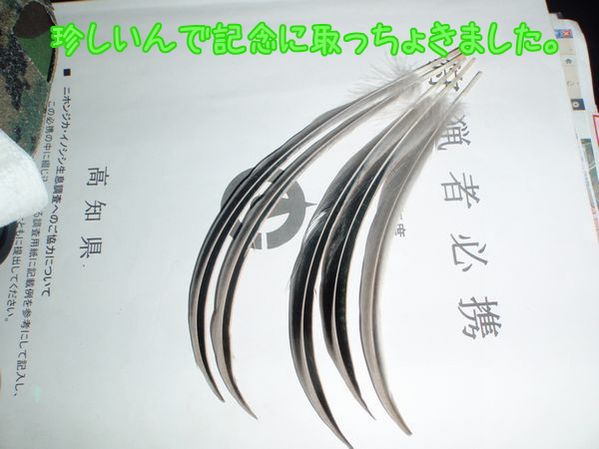 イメージ 4