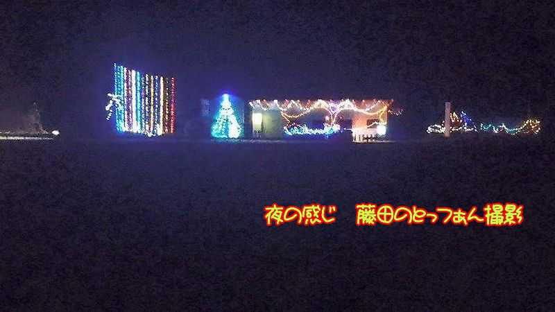 イメージ 17