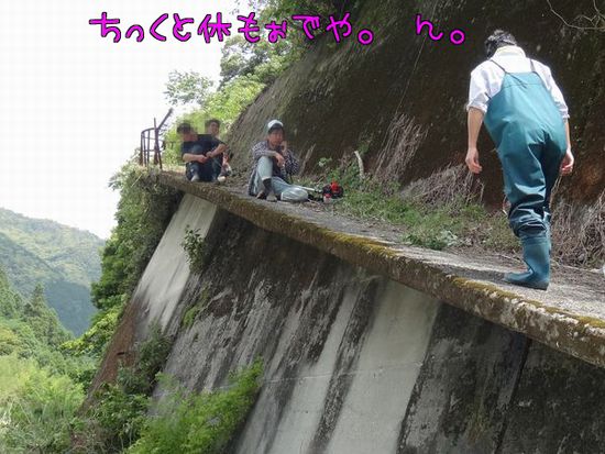 イメージ 12