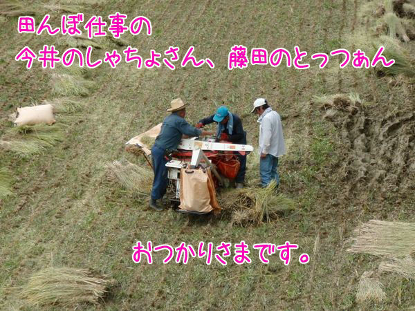 イメージ 6