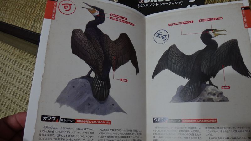 イメージ 8
