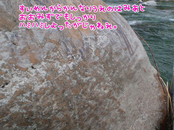 イメージ 3