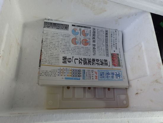 イメージ 13
