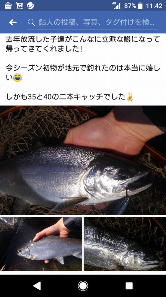 イメージ 14