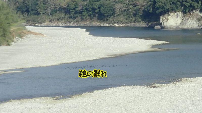 イメージ 10