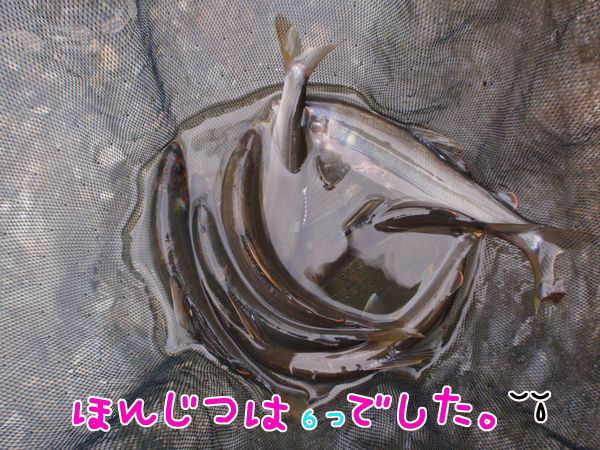 イメージ 4