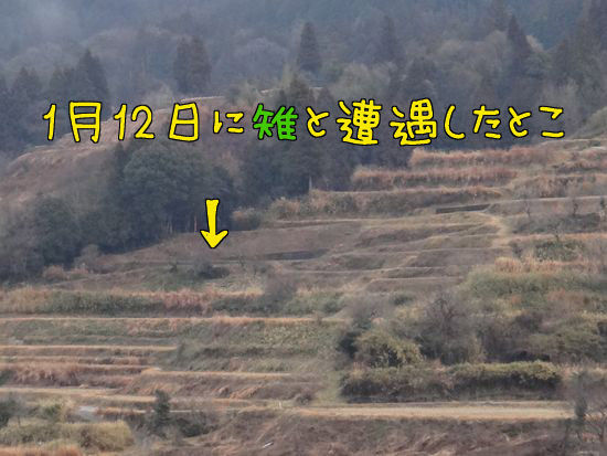 イメージ 6