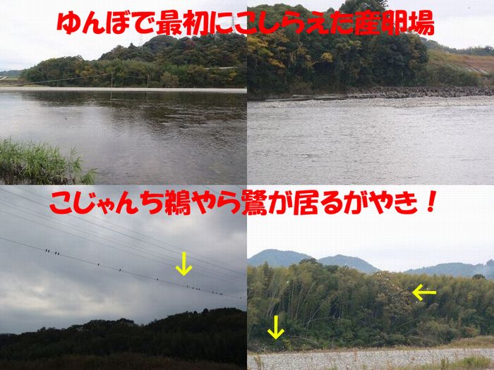 イメージ 5
