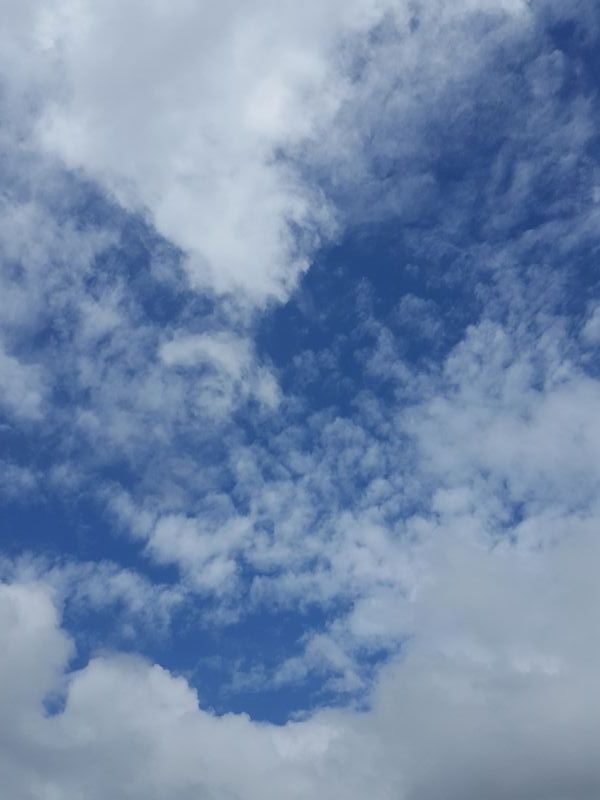 イメージ 28
