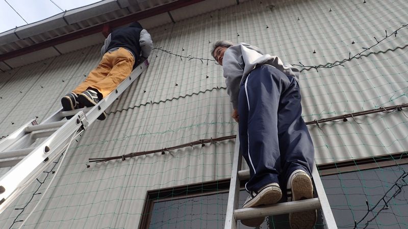 イメージ 12