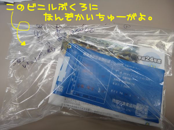 イメージ 1